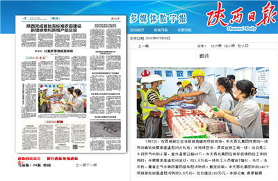 SG胜游西北集团珑樾府项目高温慰问——《陕西日报》
